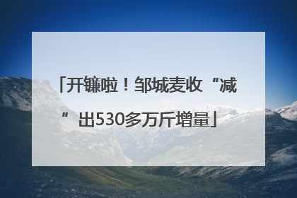 开镰啦！邹城麦收“减”出530多万斤增量